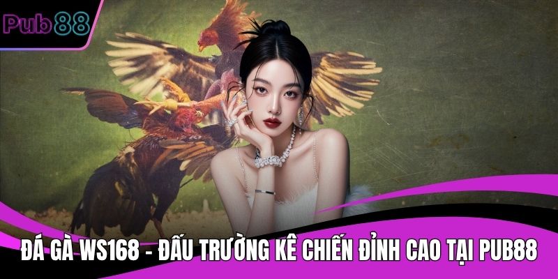 Đá gà WS168