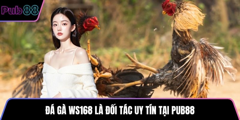 Đá Gà WS168 là đối tác uy tín tại PUB88