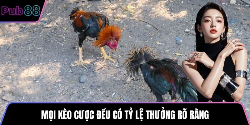 Mọi kèo cược đều có tỷ lệ thưởng rõ ràng