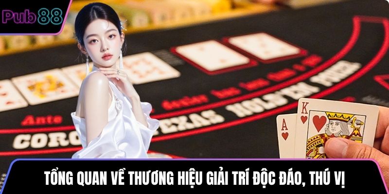 Tổng quan về thương hiệu giải trí độc đáo, thú vị
